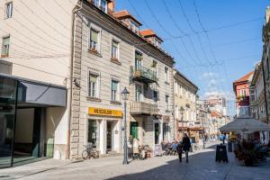 Celje Center Apartment