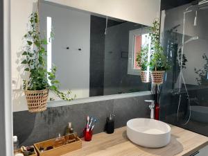 Appartements Appartement La Madeleine - Proximite Lille : photos des chambres