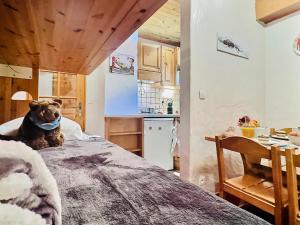 Appartements Studio Val-d'Isere, 1 piece, 3 personnes - FR-1-411-200 : photos des chambres