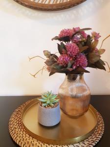 Beogradjanka CITY CENTAR cozy apartment