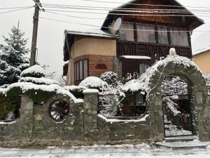 Затишок в Карпатах