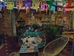 Casa Apapacho hostel