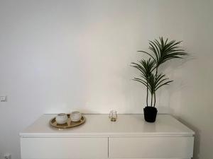 Viihtyisä kaksio Annalassa, Free parking & Sauna