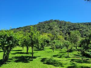 Recanto da Natureza- Chalé