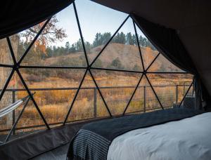 Pagosa River Domes