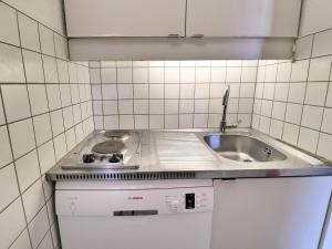 Studio skis aux pieds, animaux admis, 4 pers - FR-1-182-163