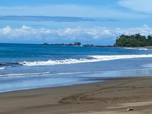 Drake Bay River View