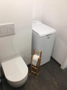 Beautiful Apartment at Geneva Airport