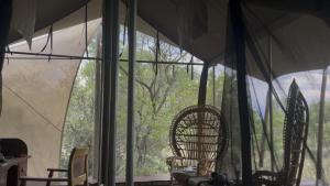 Out in Africa Wildlife Lodge