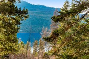 Experience Montana Cabins - Lake View Luxury Cabin #7