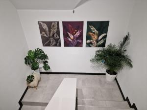 Małe Ciche 36j PRZY OSTREWKACH, Widok na góry, Blisko do wyciągu narciarskiego, Idealne miejsce na wypad w góry -tarasówka-zgorzelisko-rusinowa polana-gesia szyja-palenica-wiktorówki-morskie oko