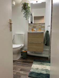 Appartements La Taniere de Sven - Vue Montagne : photos des chambres
