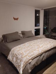 Departamento central viña