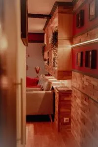 Appartement atypique perle rare - 博尔维莱尔