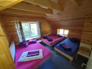 Toma pirts BRĪVDIENU