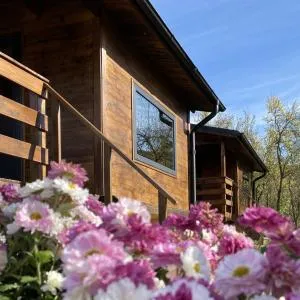 Bungalouri Olanesti - Vlăduceni