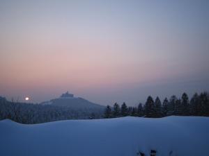 Hotels Logis Hotel & Restaurant - Les Vosges : photos des chambres