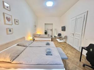 Spacious 2BDR apartment with free parking in Wenceslas Square