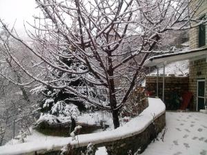 Casa Lanoi Tzoumerka Greece