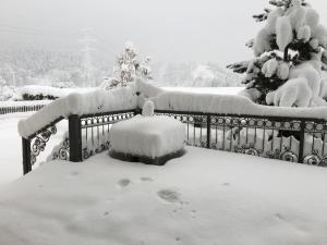 Ferienwohnungen Maria Ginther