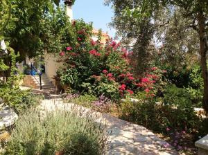 Angelica Villas Hotel Apartments Argolida Greece