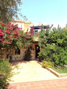 Angelica Villas Hotel Apartments Argolida Greece