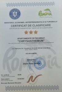 Chrysanthemum