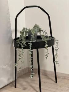 make yourself at home