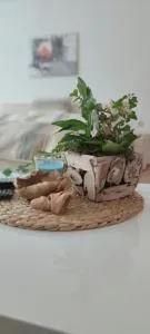 Ferienwohnung Schulzental - Stützerbach