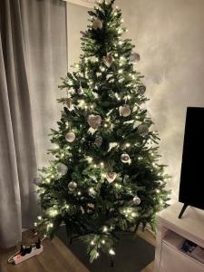 Nice and cozy townhouse