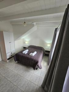 El Condor Fueguino II