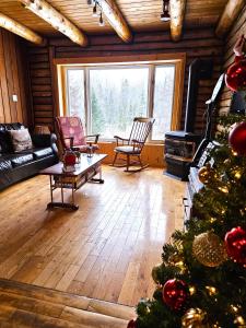 Cozy log cottage