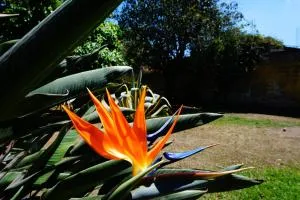 Estrelitzia Hospedaje - Reyes