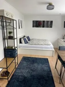 Studio Tonbachblick Baiersbronn - Brunnenteich