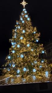 Giudecca Palanca 664