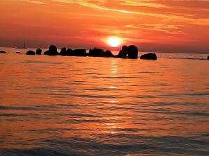 B&B / Chambres d'hotes Villa des Fleurs d'Ajoncs : photos des chambres