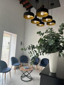 Kasa Morelos Hotel Boutique