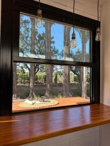 tiny house entre viñedos