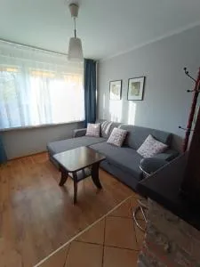 Mieszkanie w centrum - Kladsko