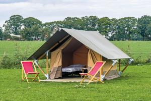 TT Circuit Assen 2026 Glamping incl stroom