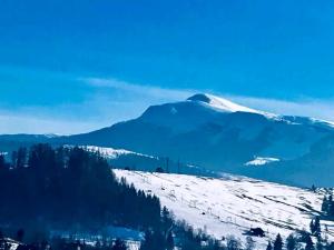 Едельвейс-Будапешт