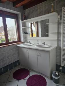 Appartements GITE SPACIEUX AU COEUR DE L'ALSACE 3*** : photos des chambres