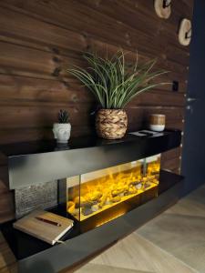 Appartements Le Chalet Loft Spa : photos des chambres