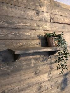 Appartement Zirbenduft Ferienhaus Fuenf Sinne