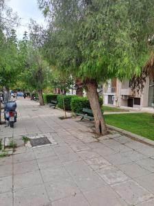 Chic Comfort:Cozy Meets Professional