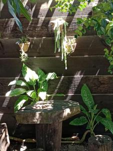 Solo Buziano- Casa de Temporada