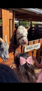 Cabañas granja Central