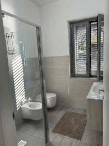 le camelie del Lario