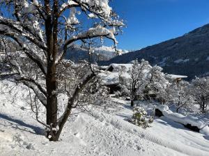 obrázek - Traumapartment Murmeltier Tirol