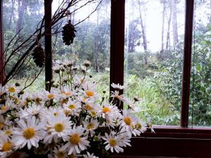 ONA HOME - Entire Hue-styled garden house nearby a pine hill